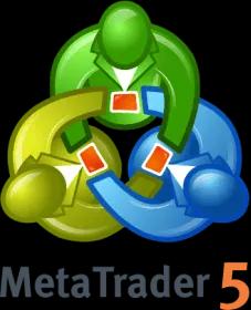 mt-5